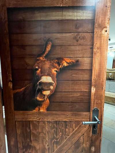 Hunde Memes-Beitrag-Bild