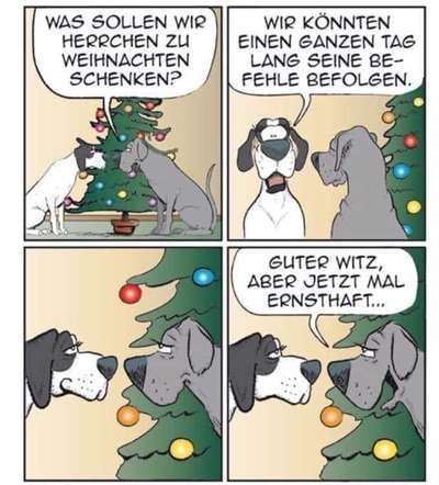 Hunde Memes-Beitrag-Bild