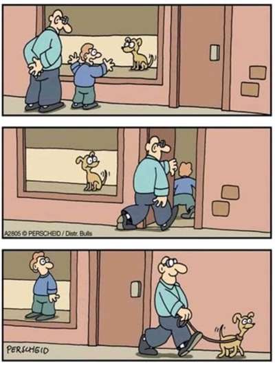 Hunde Memes-Beitrag-Bild