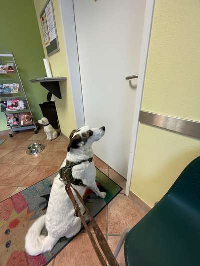 Freddys Kummerkasten-Beitrag-Bild