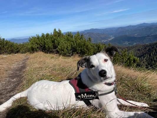 Euer schönster Moment des Jahres auf einem Bild!-Beitrag-Bild