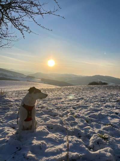 14. Collagen Challenge- Sonnenaufgang & -Untergang-Beitrag-Bild