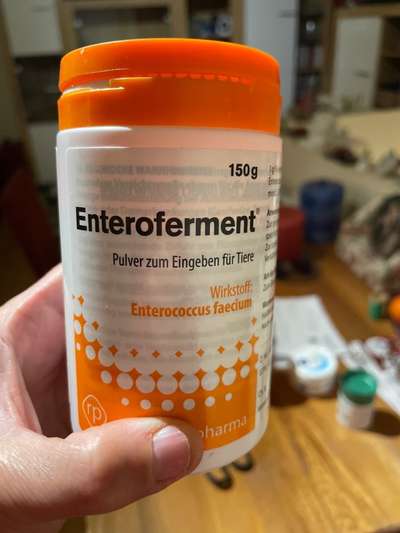 Giardien-Beitrag-Bild