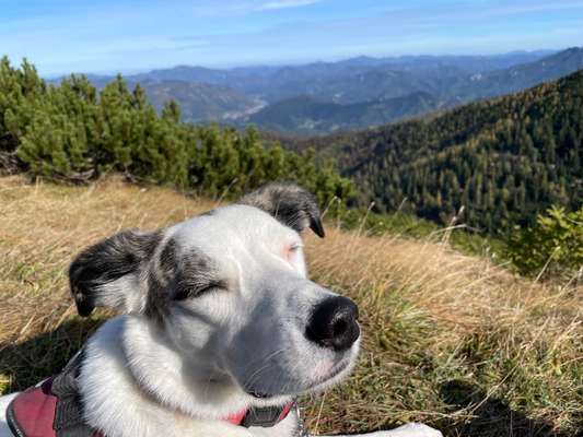 Fotochallange Nr. 57     PORTRÄT.   Beendet!!!!!!!!-Beitrag-Bild