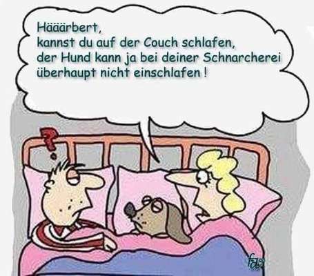 Hunde Memes-Beitrag-Bild