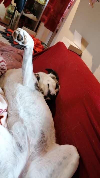 FOTO-Challenge  NR. 91: Die pure Entspannung-Beitrag-Bild