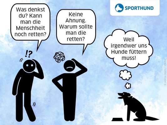 Hunde Memes-Beitrag-Bild