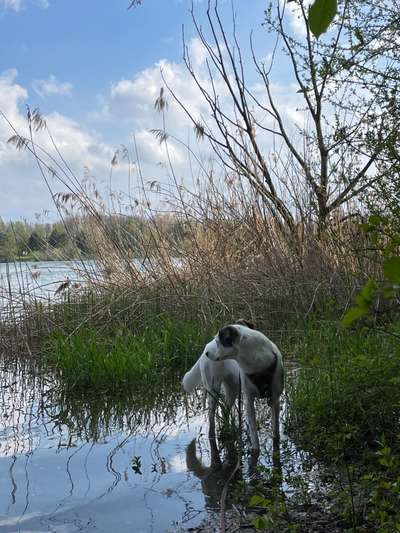 Foto-Challange No.1 - Alles aber nicht die Kamera-Beitrag-Bild
