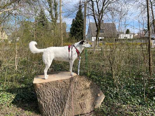 32. Collagen Challenge - eure liebsten gestellten Fotos-Beitrag-Bild