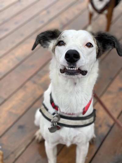 Handy-foto Challange nr. 11-Beitrag-Bild