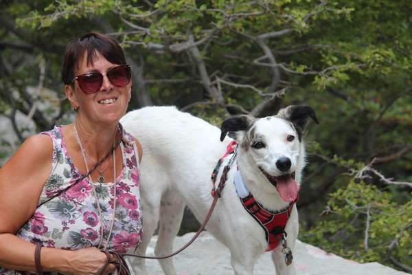 21. Collage Challenge 
Du und dein Hund-Beitrag-Bild