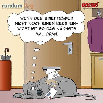 Hunde Memes-Beitrag-Bild