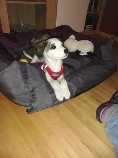 Erstes Bild-Beitrag-Bild