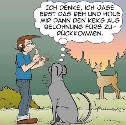 Hunde Memes-Beitrag-Bild