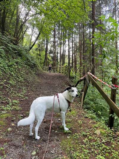 Doppelgänger gesucht !-Beitrag-Bild