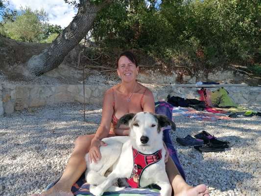 Vertrauen zwischen Hund und Halter-Beitrag-Bild