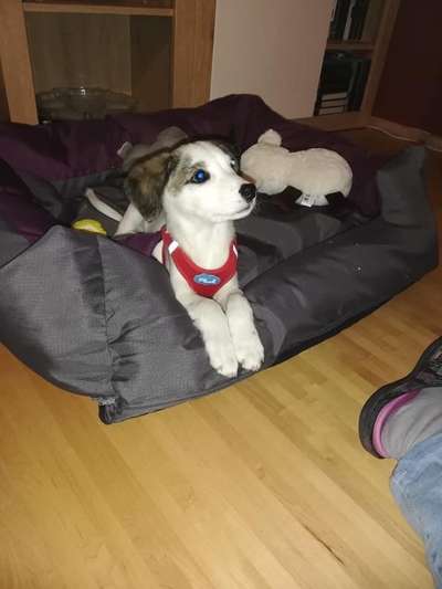 28. Handy-Fotochallenge - Damals und heute-Beitrag-Bild