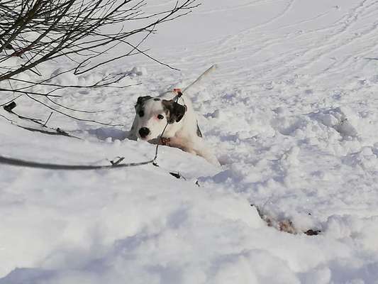 "Die eingefangene Magie des Augenblicks"-Beitrag-Bild