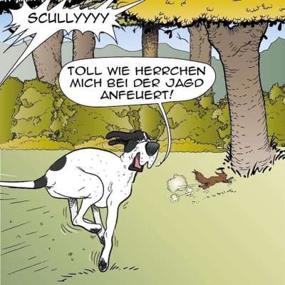 Hunde Memes-Beitrag-Bild