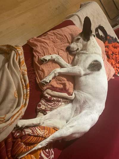 19. Farben  Fottochallenge :
Lieblingsfarbe-Beitrag-Bild