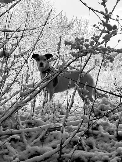 Foto-Challenge 76: Foto in Schwarz-Weiss-Beitrag-Bild