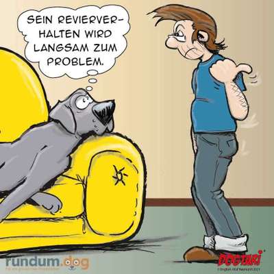 Hunde Memes-Beitrag-Bild