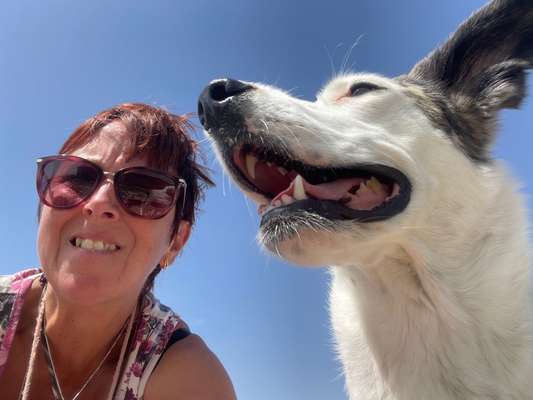 Handyfoto challenge Nr.7-Beitrag-Bild