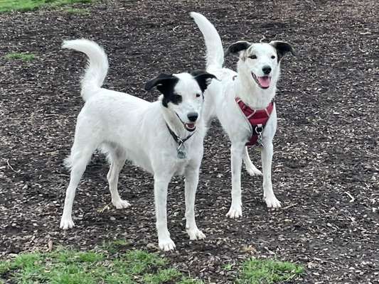 Fotochallenge 130-Beitrag-Bild