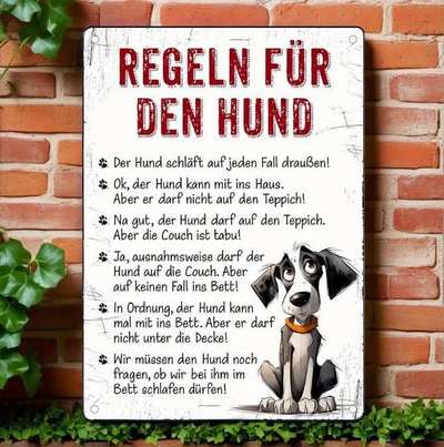 Hunde Memes-Beitrag-Bild