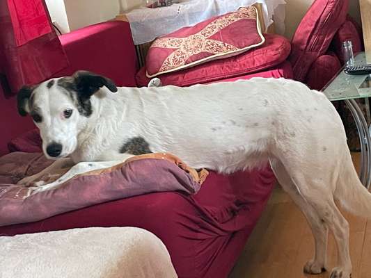 45. Handy - Foto - Challenge-Beitrag-Bild