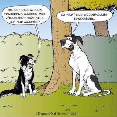 Hunde Memes-Beitrag-Bild