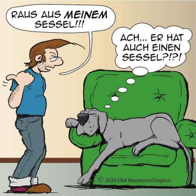Hunde Memes-Beitrag-Bild