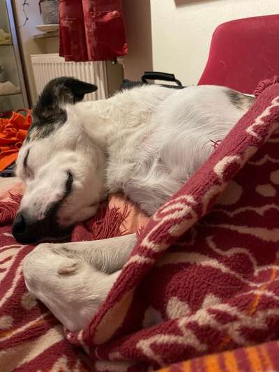 Moviestar-Pics!-Beitrag-Bild