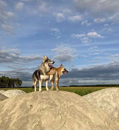 Fotochallenge liebespaare-Beitrag-Bild