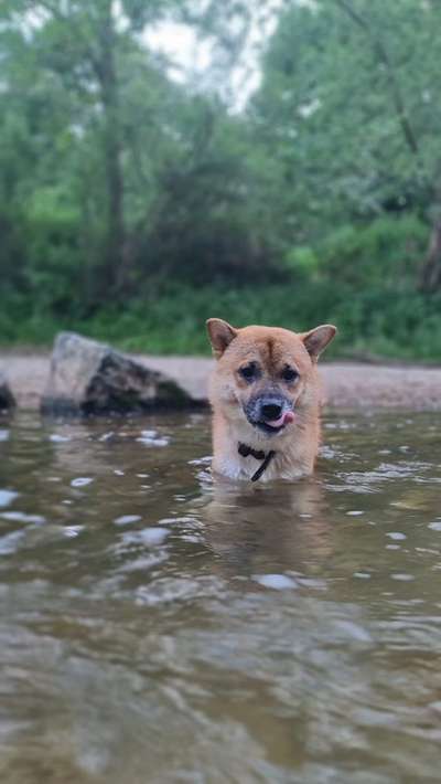 Fotowettbewerb Natur-Beitrag-Bild