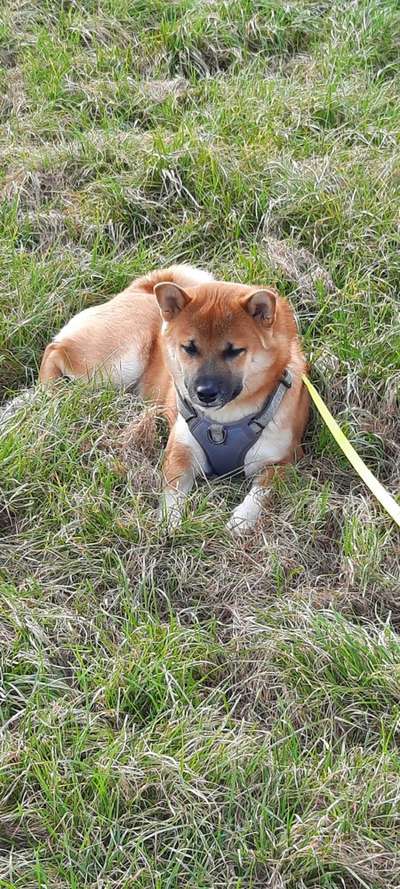 Fotowettbewerb Natur-Beitrag-Bild