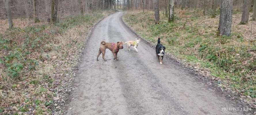 Probleme beim Spielen-Beitrag-Bild