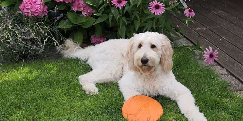 Lieblingsbild-Beitrag-Bild