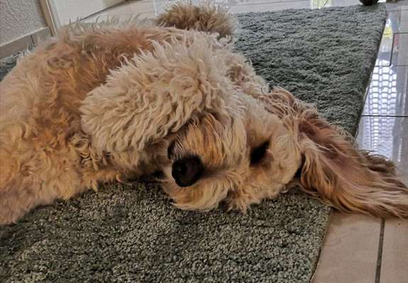 Lieblingsbild-Beitrag-Bild