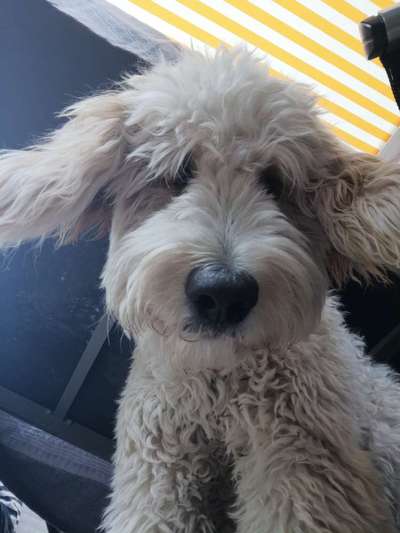 Fotochallange Nr. 57     PORTRÄT.   Beendet!!!!!!!!-Beitrag-Bild