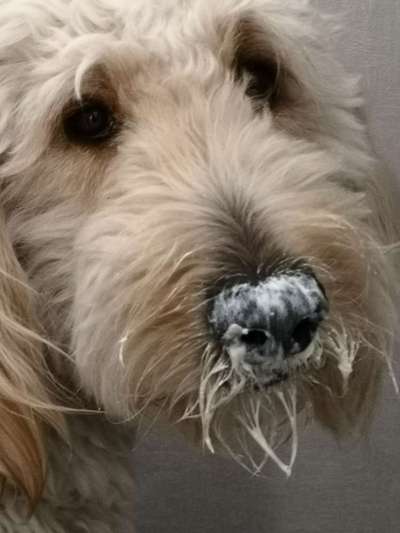 Fotochallange Nr. 57     PORTRÄT.   Beendet!!!!!!!!-Beitrag-Bild