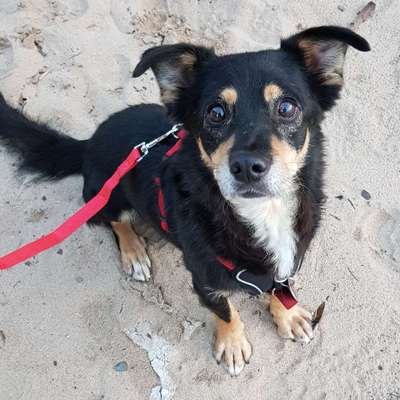 Lieblingsbild-Beitrag-Bild