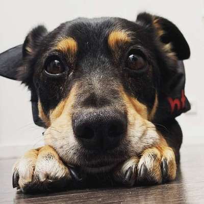 Fotochallange Nr. 57     PORTRÄT.   Beendet!!!!!!!!-Beitrag-Bild