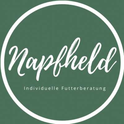 Ernährungsberater-Napfheld-Bild