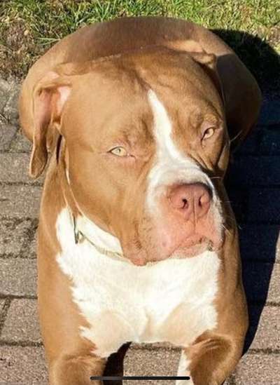 Fotochallange Nr. 57     PORTRÄT.   Beendet!!!!!!!!-Beitrag-Bild