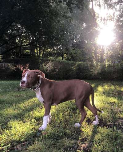 Fotowettbewerb Natur-Beitrag-Bild