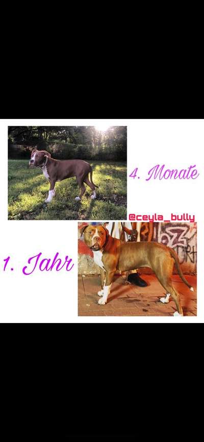 Sie werden so schnell groß!-Beitrag-Bild