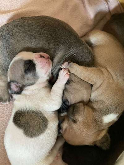 Außergewöhnliche Merkmale-Beitrag-Bild