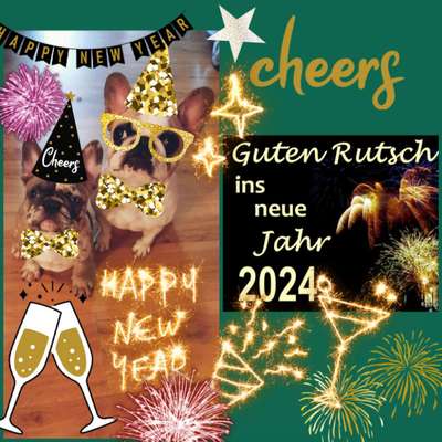 Französische Bulldoggen-Beitrag-Bild