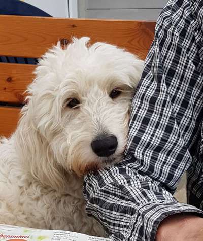 Fotochallange Nr. 57     PORTRÄT.   Beendet!!!!!!!!-Beitrag-Bild